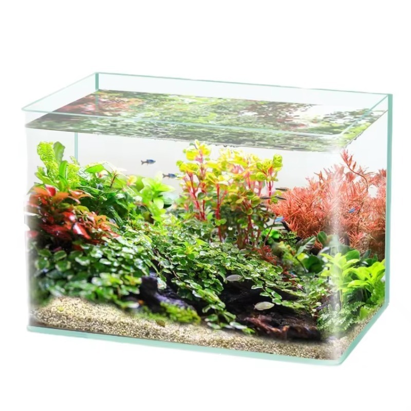 Box Fish In Aquarium - Kutu Paketleme Masaüstü Akvaryum Ultra Beyaz