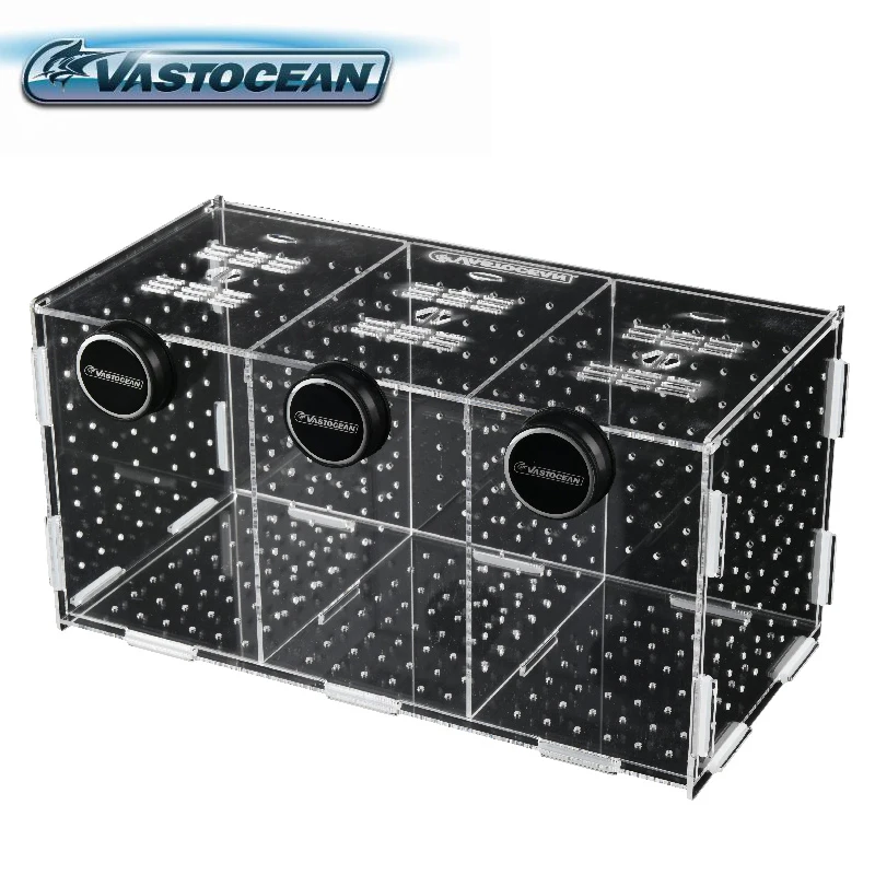 Box Fish In Aquarium - VASTOCEAN balık tankı manyetik kombine akrilik
