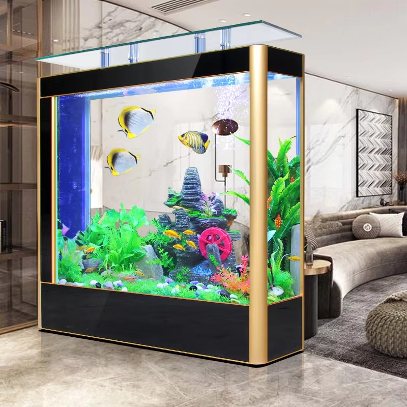 Aquarium Fish High Price - 2026 Yüksek Tank Akvaryum Ticari Balık