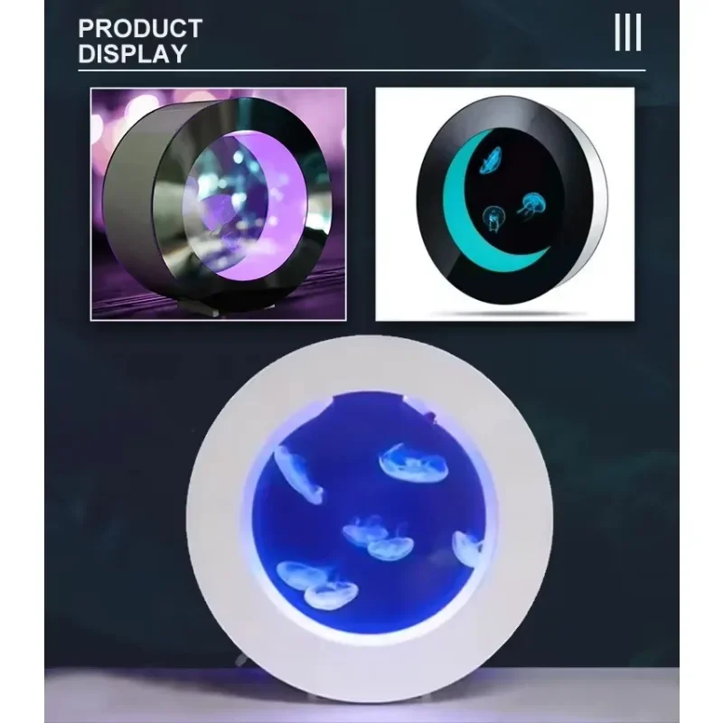 All Fish In Aquarium - Altın Satıcı O-şekilli Denizanası Akvaryumu, Tezgah