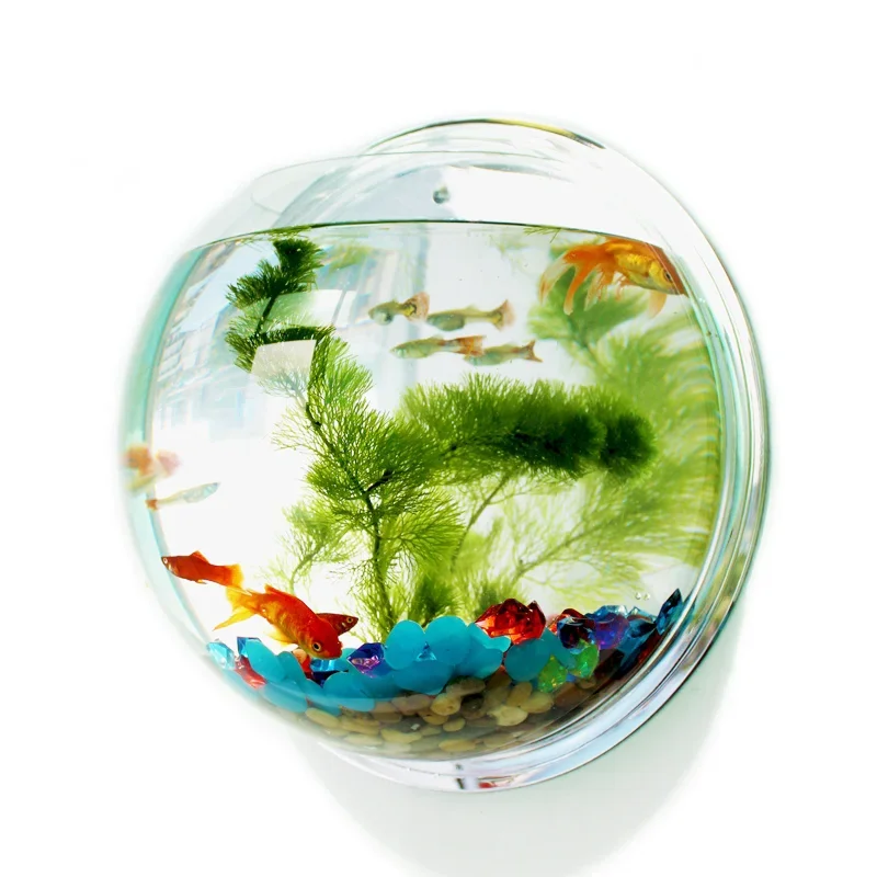 Aquarium Fish Jar - Pinsjar Akrilik Balık Kase Duvar Asılı