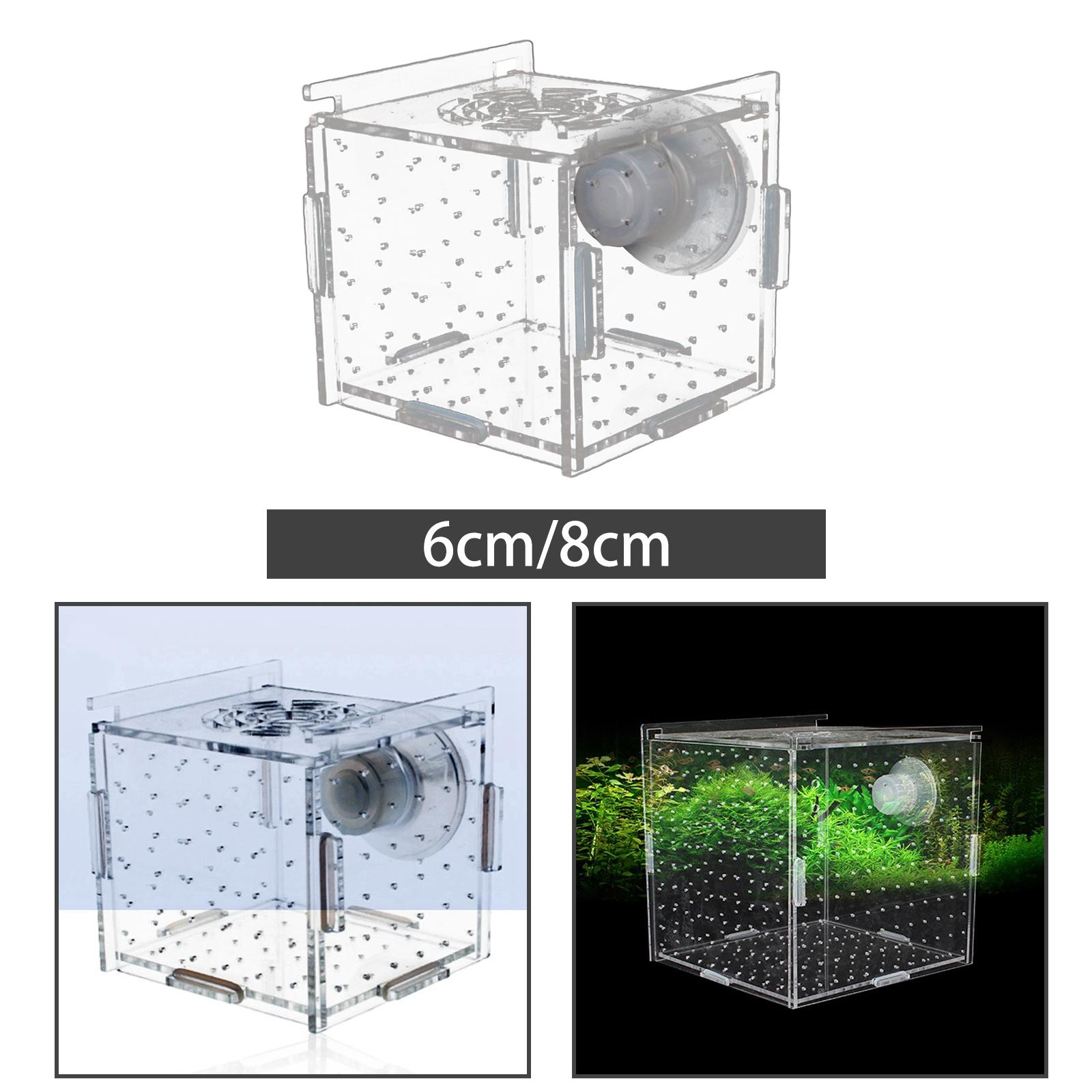 Aquarium Fish Jar - Balık Damızlık Kutusu Temizle Dayanıklı Vantuz