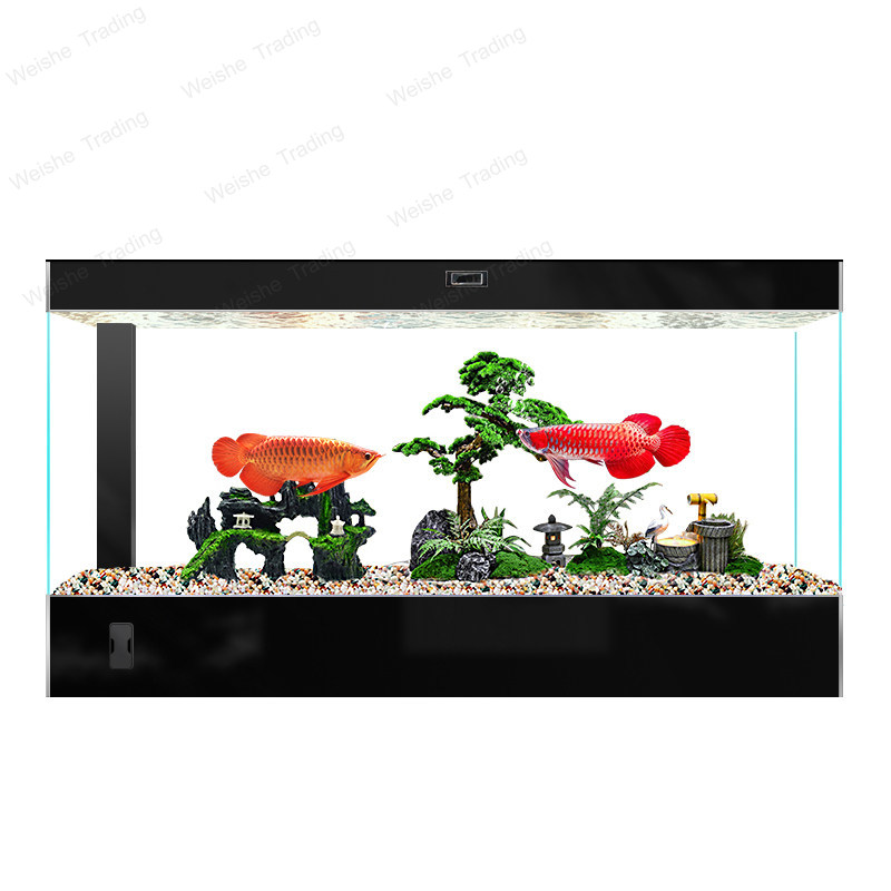 All Fish In Aquarium - Büyük Boy Yer Tipi Japon Balığı