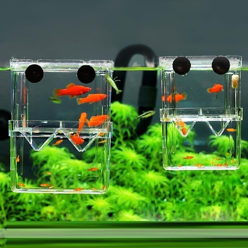 Aquarium Fish Jar - Çok fonksiyonlu balık akvaryumu yüksek temizle