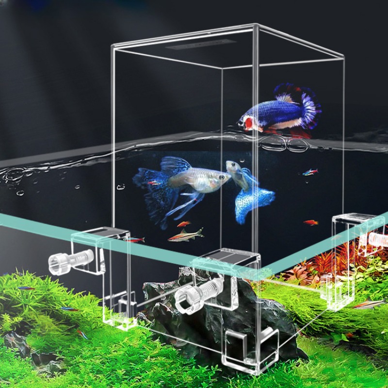 Aquarium Fish Jar - Yaratıcı akvaryum tankları negatif basınç balık