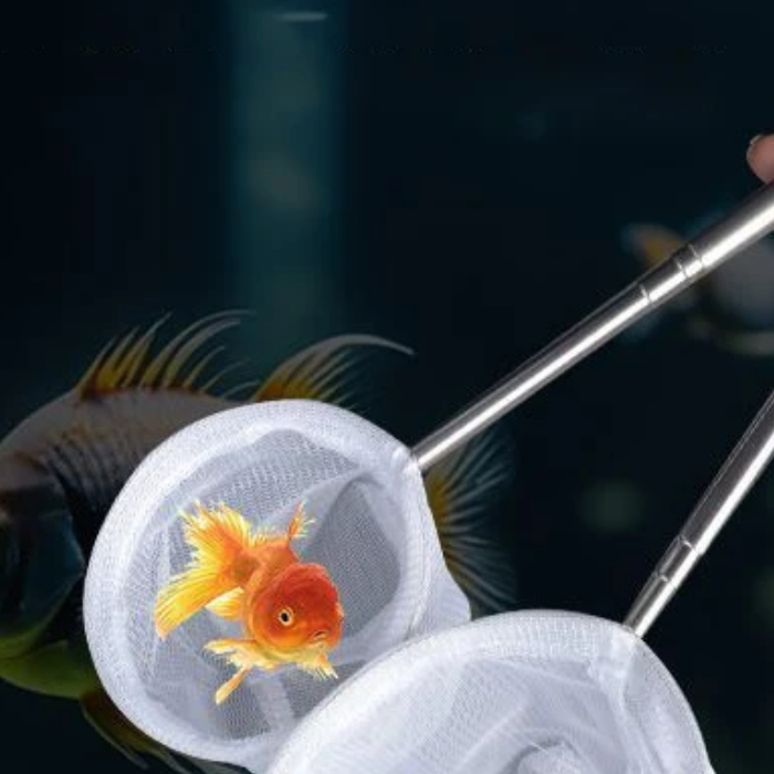 Aquarium Fish Net Small - Akvaryum balık balık ağı paslanmaz çelik