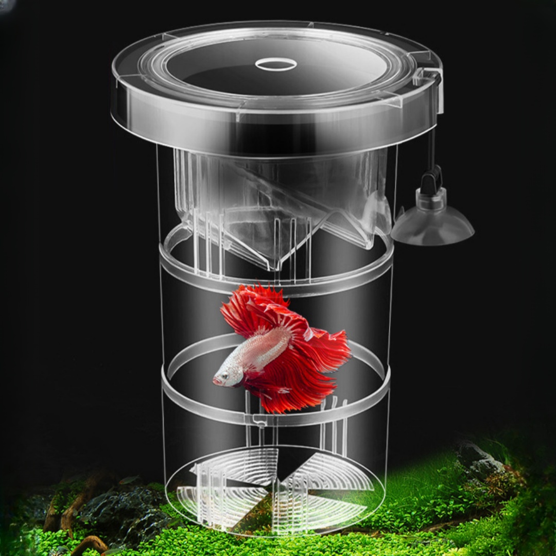 Aquarium Fish Jar - Akrilik Yüzen Balık Yetiştirme İzolasyon Kutusu