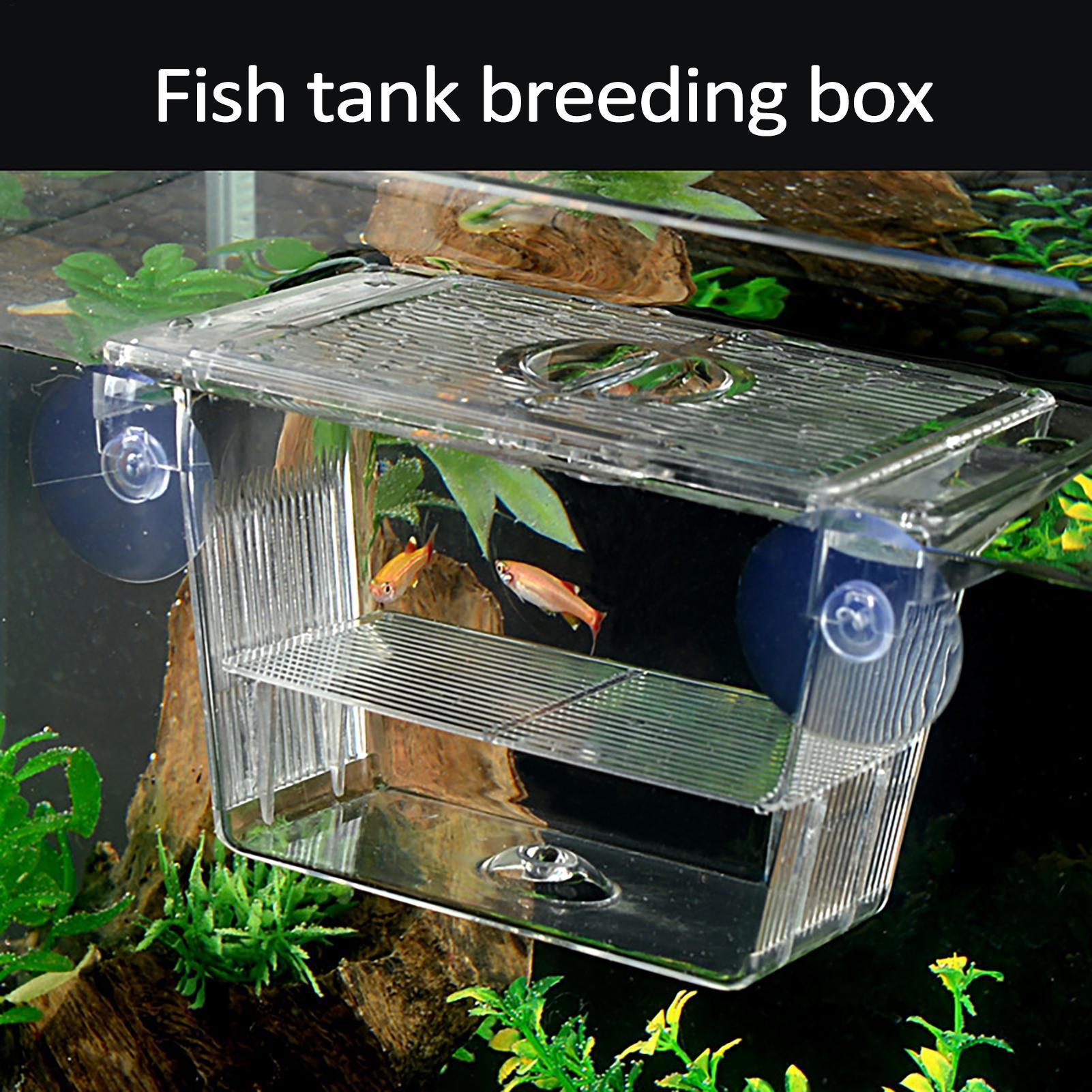 Aquarium Fish Jar - Balık Tankı için Yetiştirici Kutusu Şeffaf
