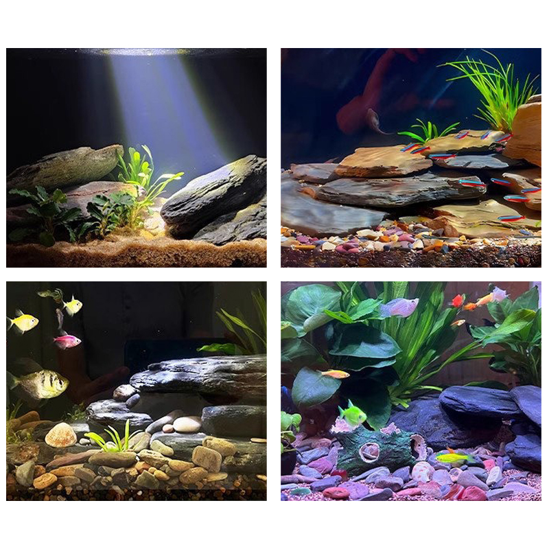 500/1000g Balık Tankı Peyzaj T - Aquarium Fish House incelemesi ve fiyatı