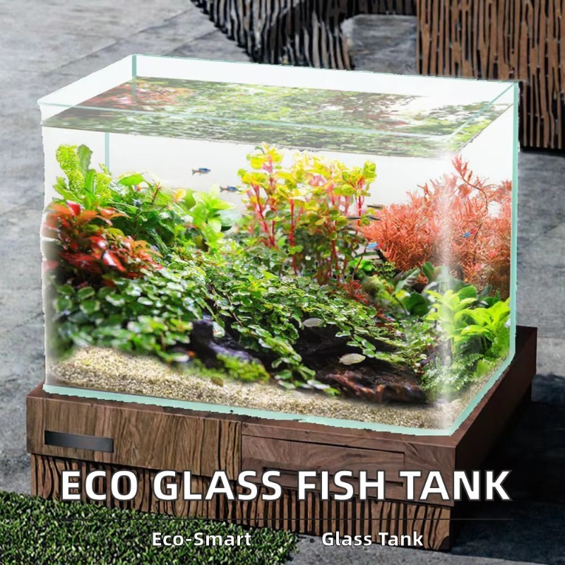 Kutu Paketleme Masaüstü Akvary - Box Fish In Aquarium incelemesi ve fiyatı