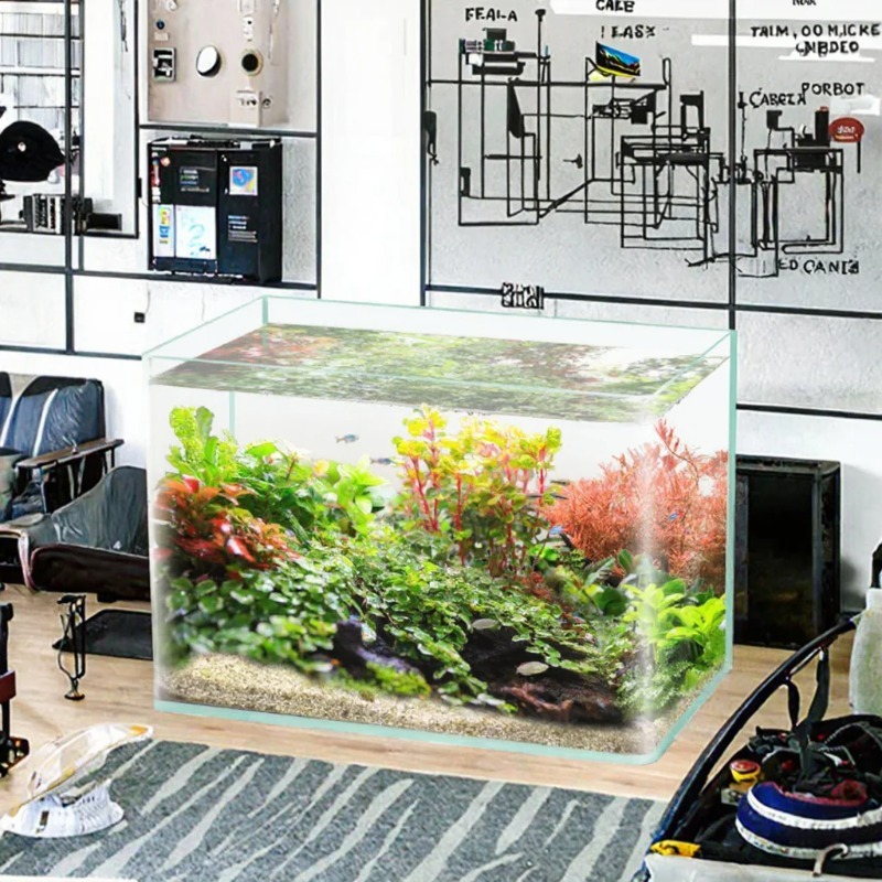Kutu Paketleme Masaüstü Akvary - Box Fish In Aquarium incelemesi ve fiyatı