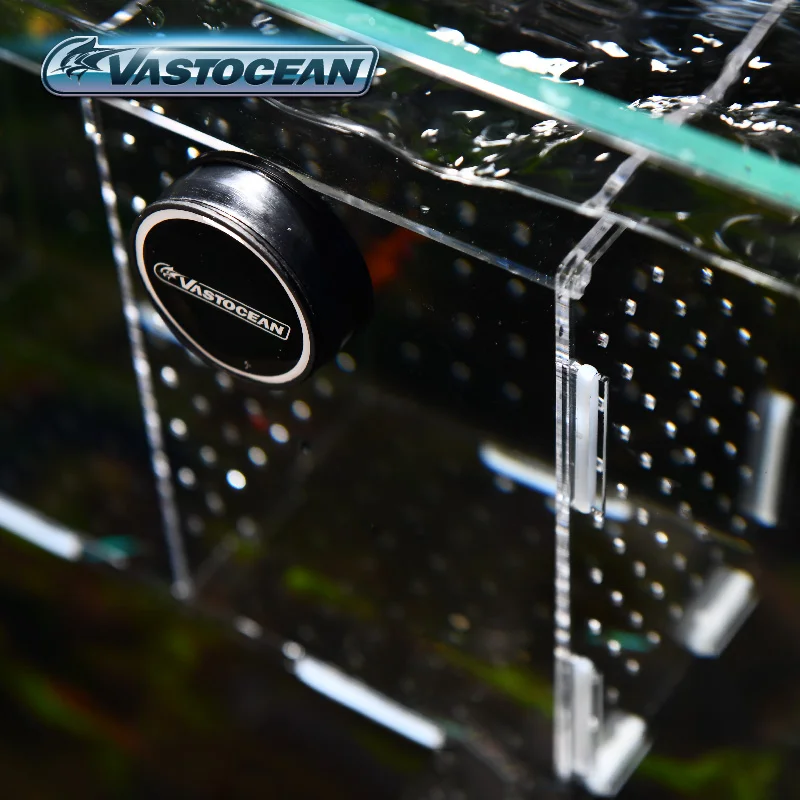 VASTOCEAN balık tankı manyetik - Box Fish In Aquarium incelemesi ve fiyatı