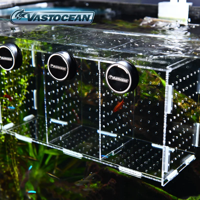 VASTOCEAN balık tankı manyetik - Box Fish In Aquarium incelemesi ve fiyatı