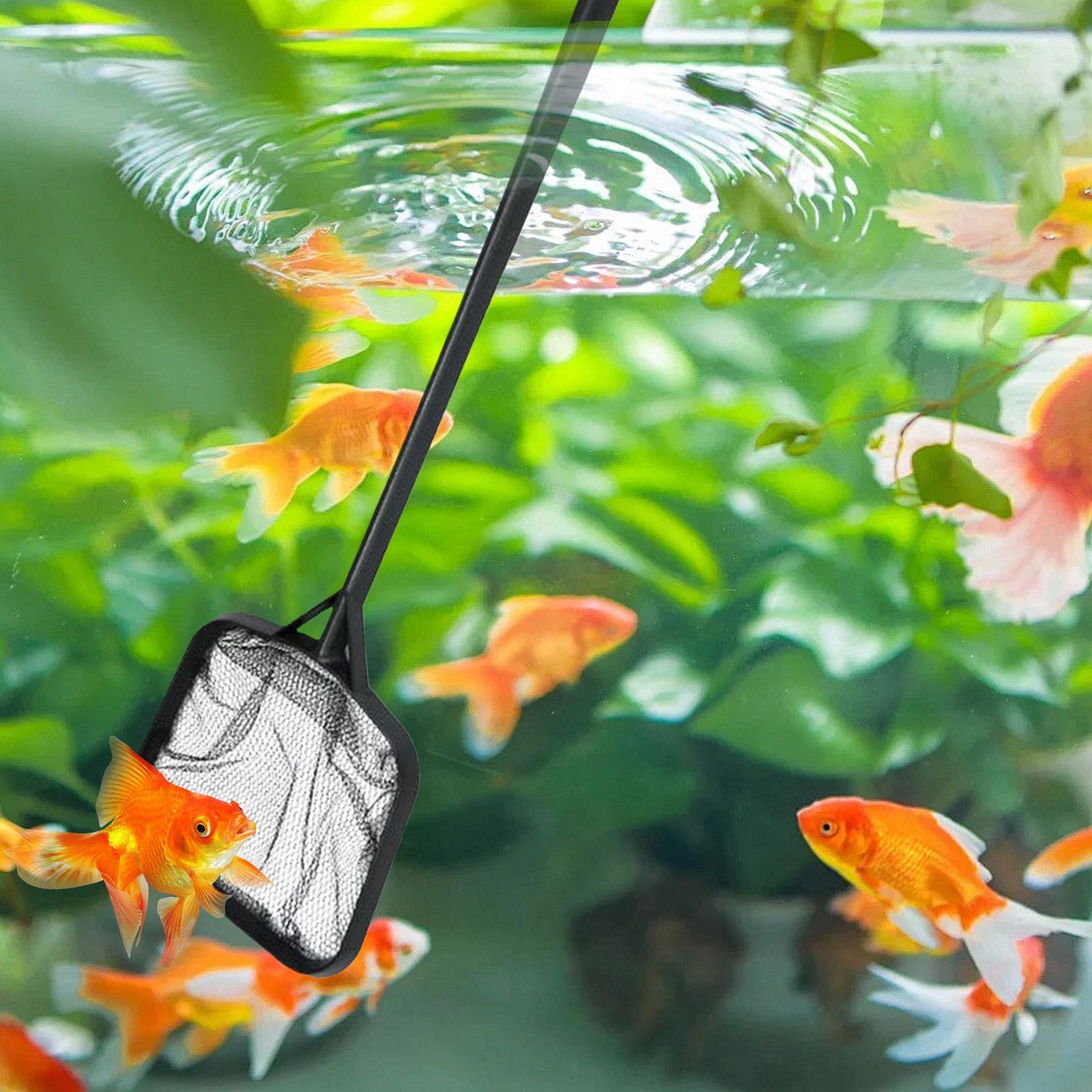 Havuz Temizleme Ağları Taşınab - Aquarium Fish House incelemesi ve fiyatı