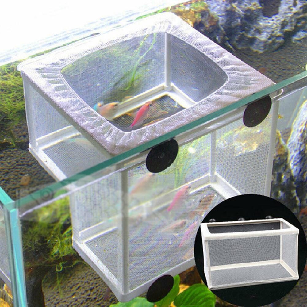 Vakumlu Tutuculu Akvaryum Balı - Aquarium Fish Jar incelemesi ve fiyatı