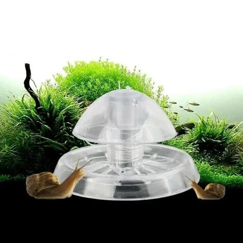 2026 Yeni 6/8CM Şeffaf Plastik - Box Fish In Aquarium incelemesi ve fiyatı