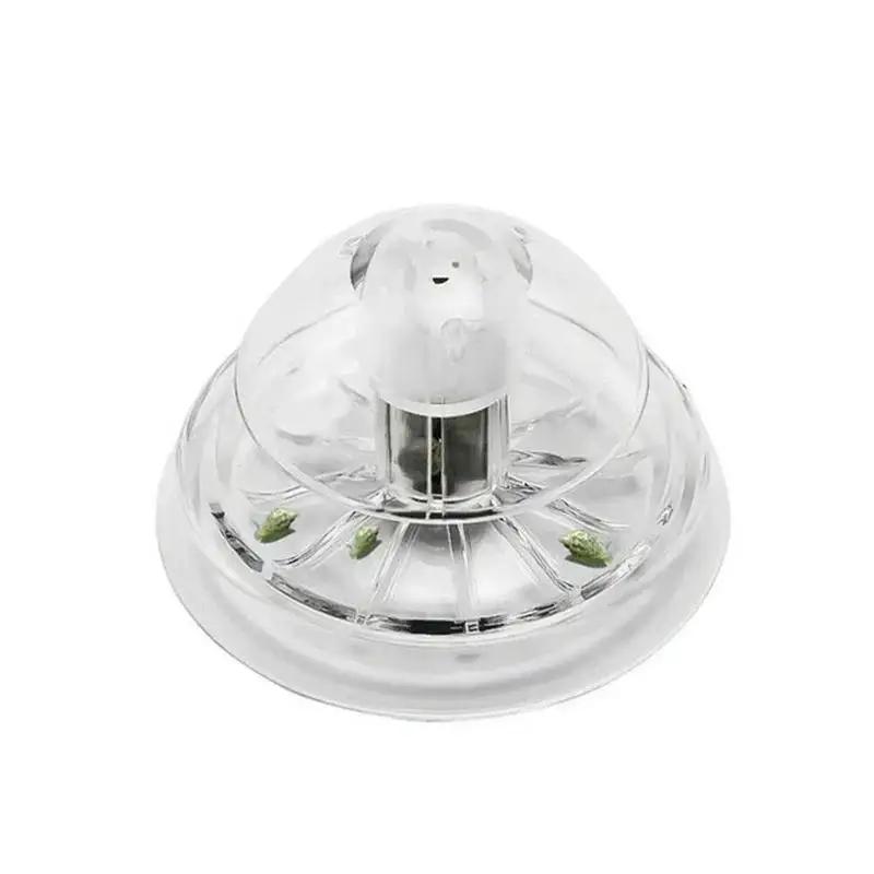 2026 Yeni 6/8CM Şeffaf Plastik - Box Fish In Aquarium incelemesi ve fiyatı