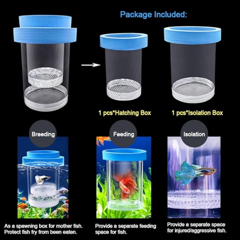 Yüzen Balık Yetiştiriciliği İz - Box Fish In Aquarium incelemesi ve fiyatı