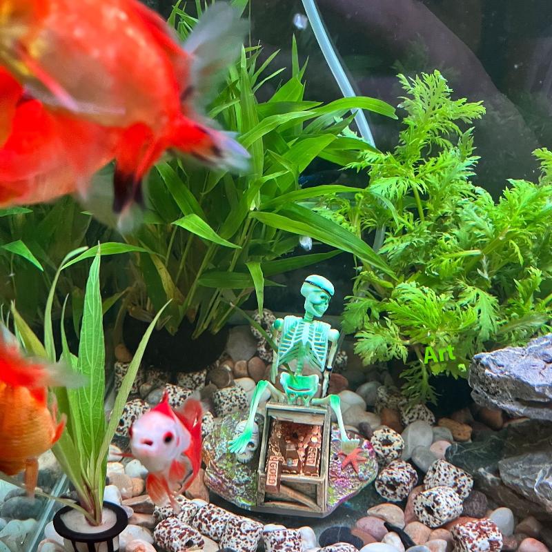 Balık Tankı Aerobik Peyzaj Kab - Aquarium Fish Only incelemesi ve fiyatı