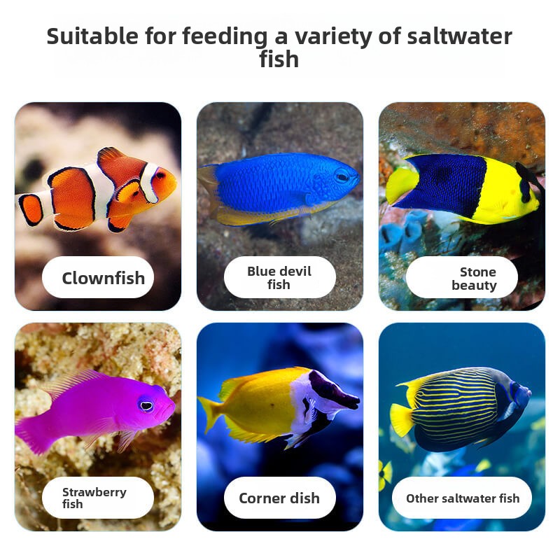 DEERA Palyaço Balığı ve Tang Y - All Fish In Aquarium incelemesi ve fiyatı