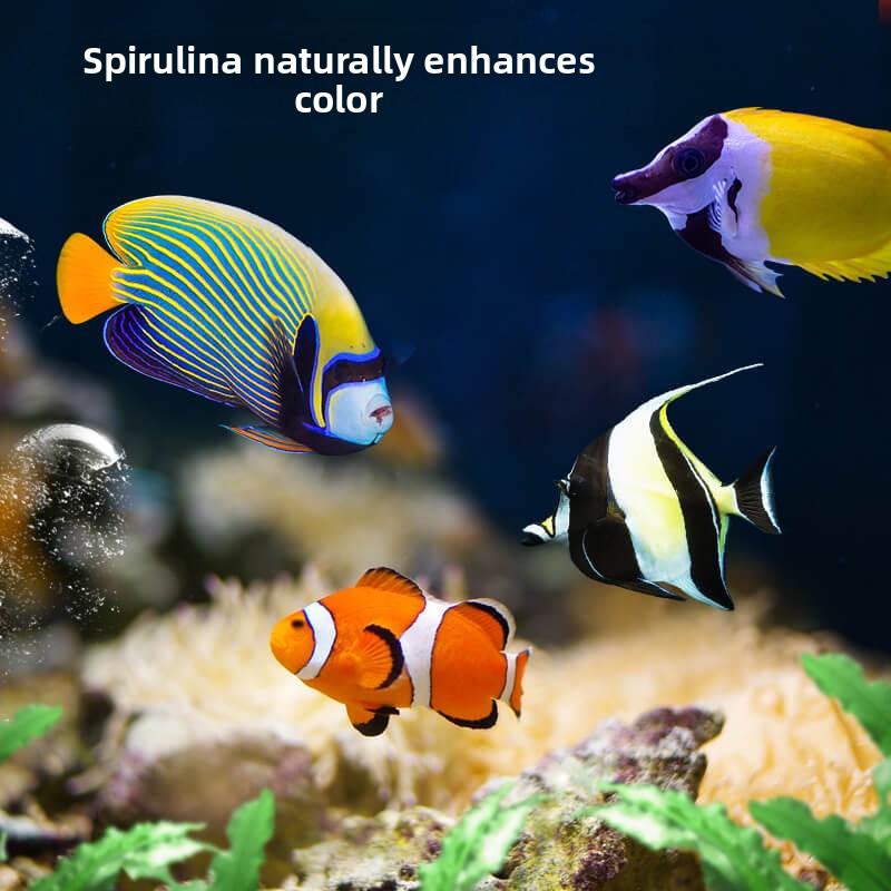 DEERA Palyaço Balığı ve Tang Y - All Fish In Aquarium incelemesi ve fiyatı