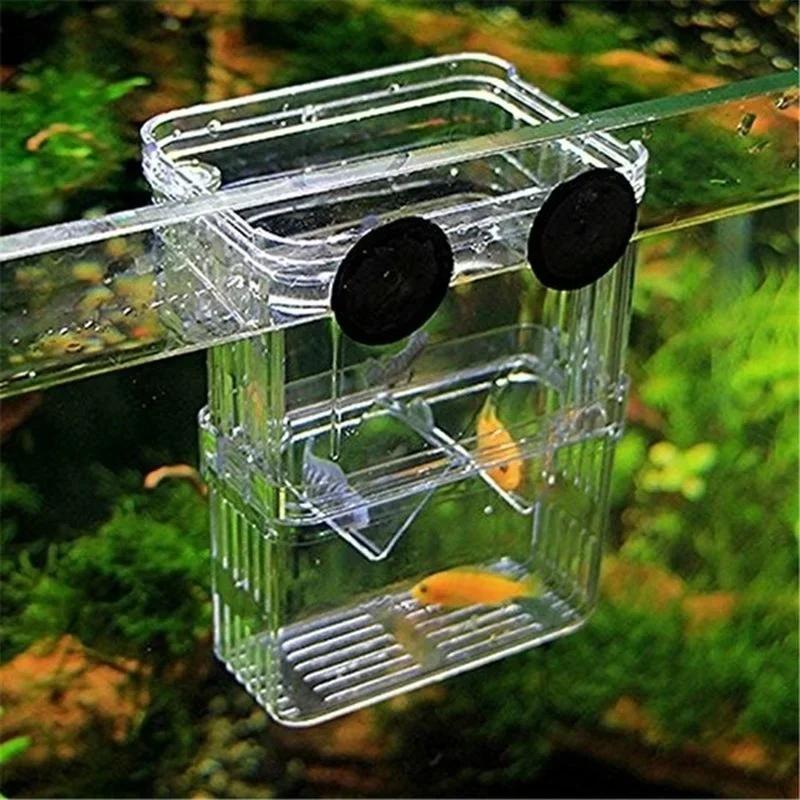 Şeffaf balık akvaryumu Yüksek  - Aquarium Fish Jar incelemesi ve fiyatı