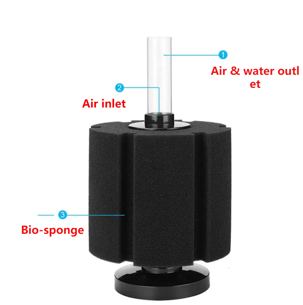 Akvaryum filtre süngeri balık  - Aquael Filter Fzn incelemesi ve fiyatı