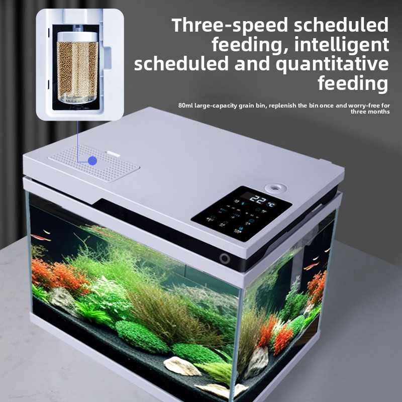 Şeffaf Cam Balık Tankı Akıllı  - All Fish In Aquarium incelemesi ve fiyatı