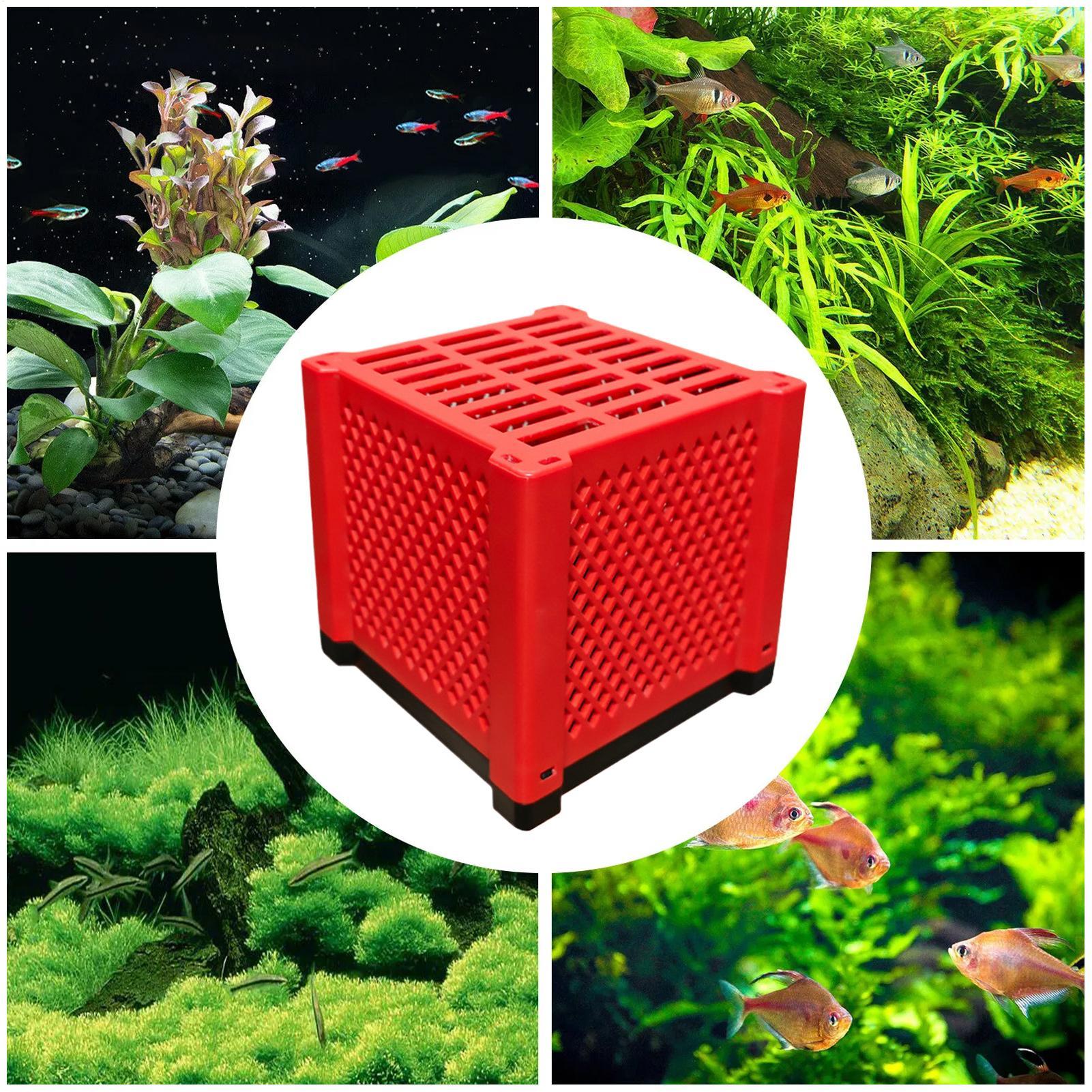 PVC Saklama Kutusu Balık Tankı - Box Fish In Aquarium incelemesi ve fiyatı