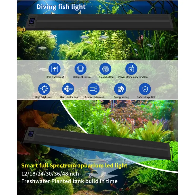 75cm 30 inç Bitki Lambası Balı - All Fish In Aquarium incelemesi ve fiyatı