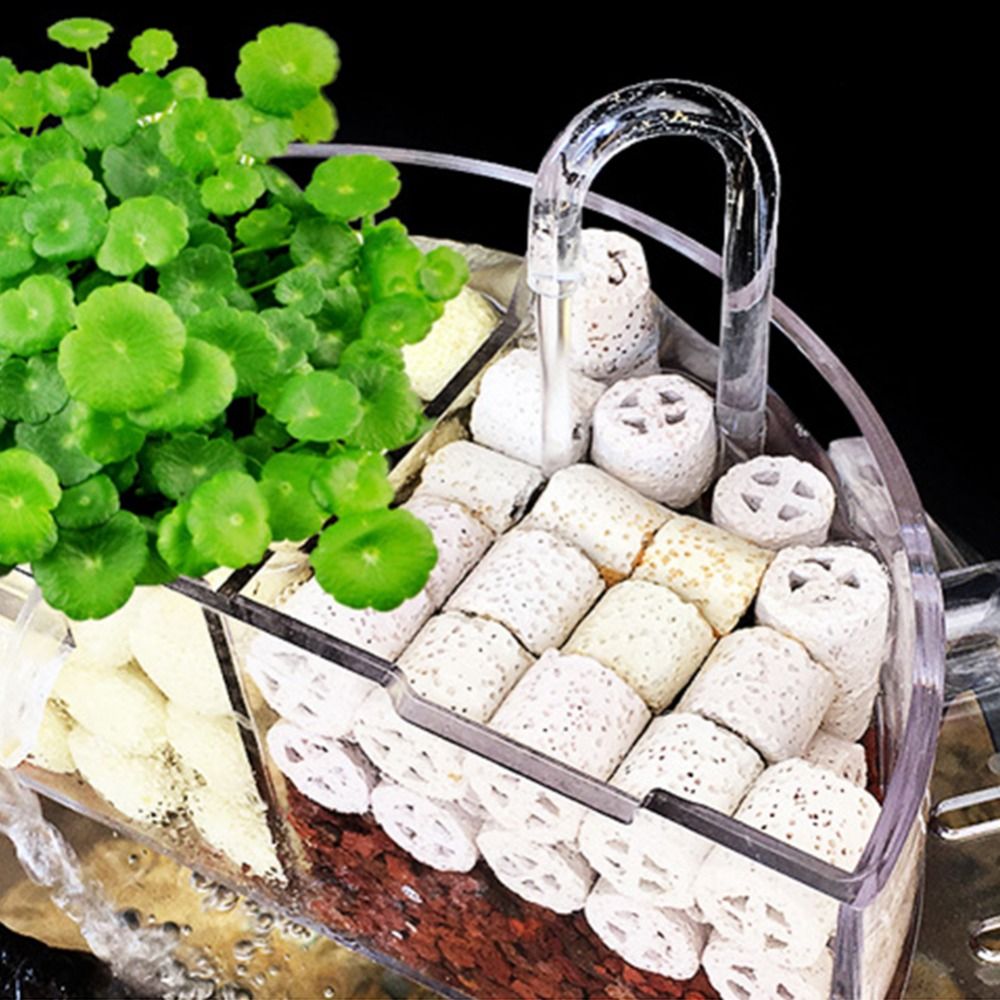 3'ü 1 Arada Harici Filtre Kutu - Aquarium Fish Jar incelemesi ve fiyatı