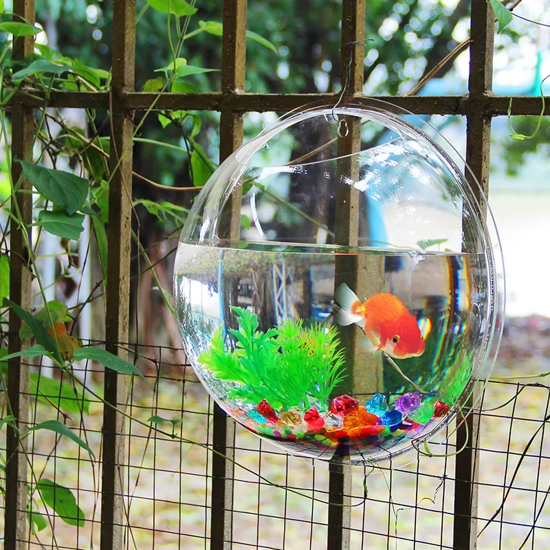 Pinsjar Akrilik Balık Kase Duv - Aquarium Fish Jar incelemesi ve fiyatı