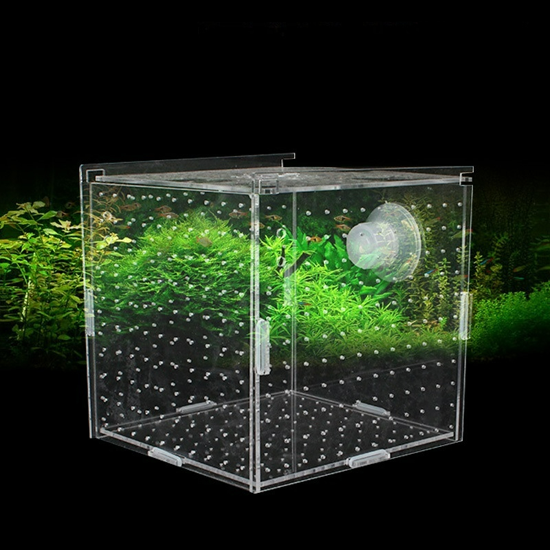 Akrilik İzolasyon Kutusu Balık - Aquarium Fish Net Small incelemesi ve fiyatı