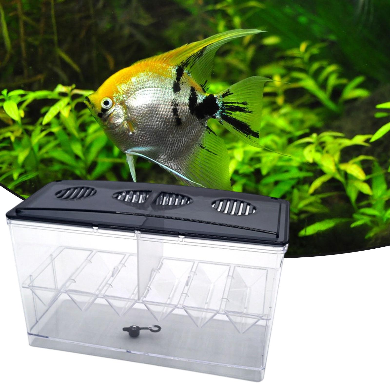 Yüzen Balık Yetiştiriciliği İz - Aquarium Fish Jar incelemesi ve fiyatı