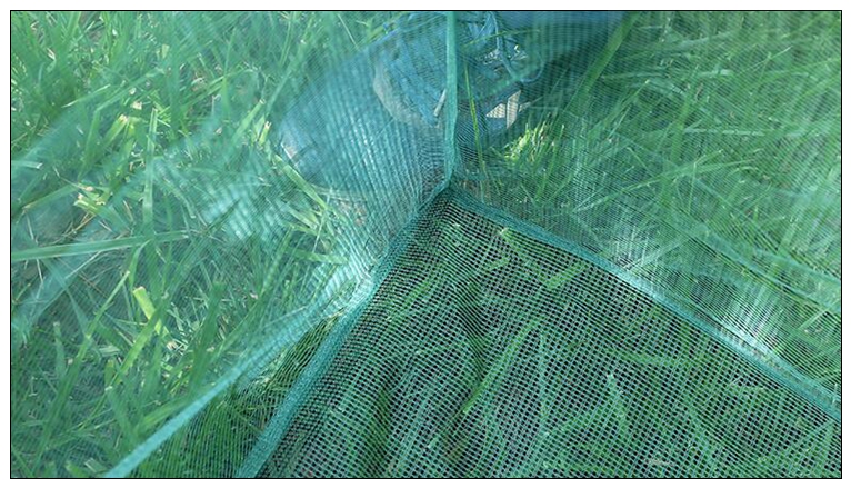 Balıkçılık 3mm Bahis Küçük Örg - Aquarium Fish Net Small incelemesi ve fiyatı