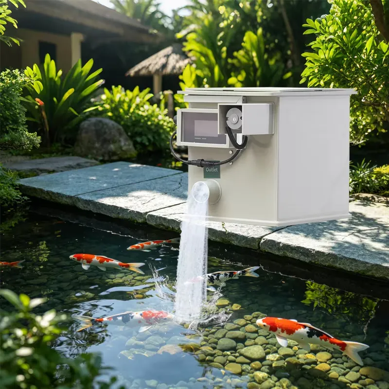 QihangRAS Fabrika Fiyatı Yükse - Aquarium Fish High Price incelemesi ve fiyatı