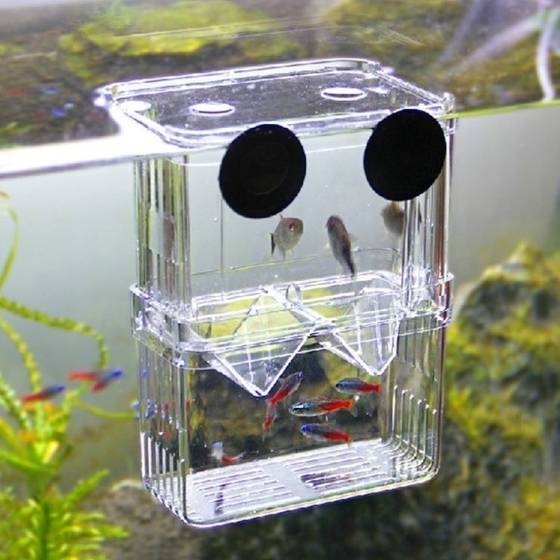 Çok fonksiyonlu balık akvaryum - Aquarium Fish Jar incelemesi ve fiyatı
