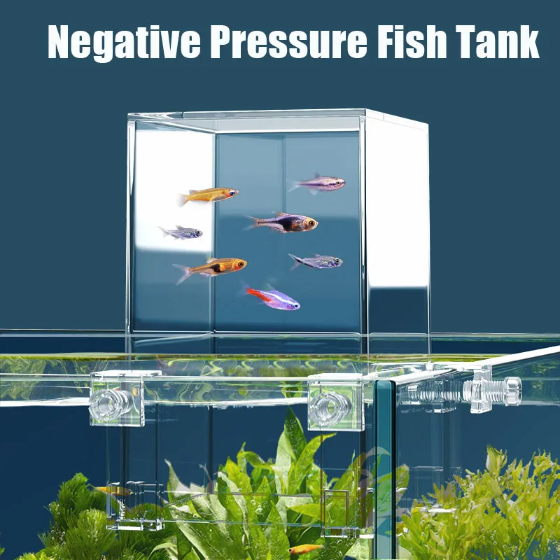 Yaratıcı akvaryum tankları neg - Aquarium Fish Jar incelemesi ve fiyatı