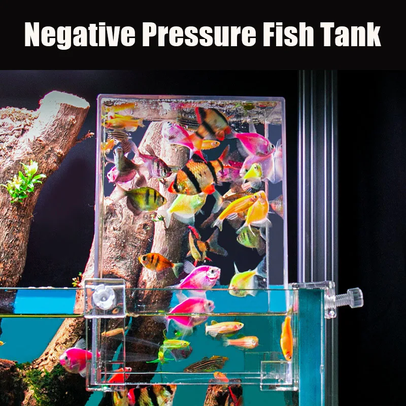 Yaratıcı akvaryum tankları neg - Aquarium Fish Jar incelemesi ve fiyatı