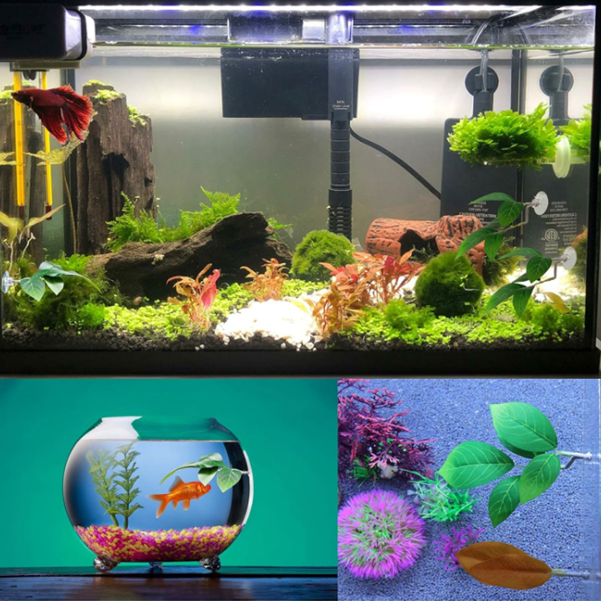 1 adet Betta balık hamak yumuş - Aquarium Fish Only incelemesi ve fiyatı