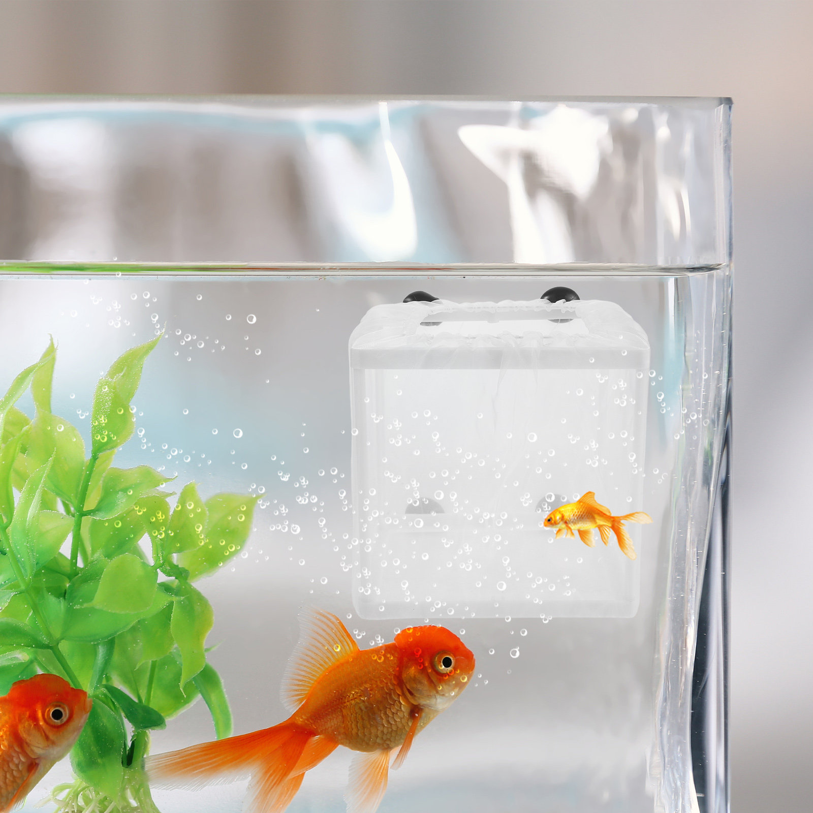 2 Adet Balık Yetiştirme Kutusu - Aquarium Fish Net Small incelemesi ve fiyatı