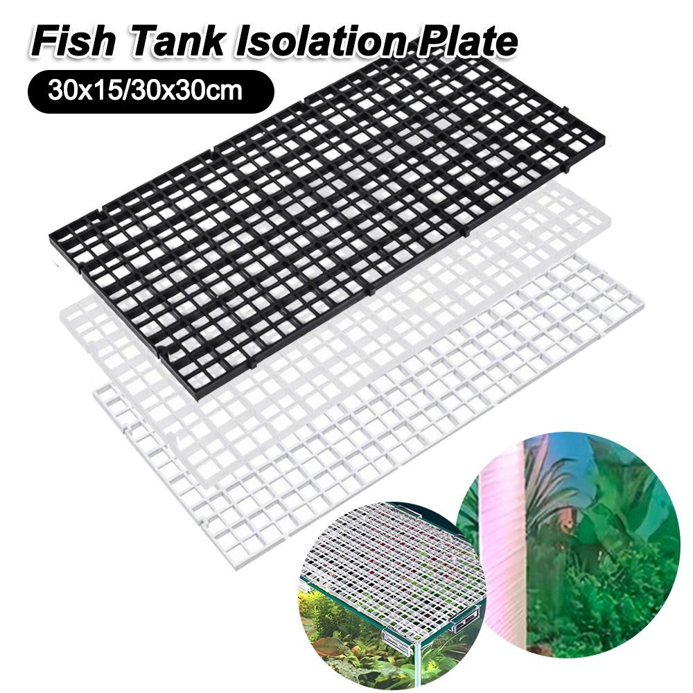 30x15/30x30cm Balık Tankı İzol - Aquarium Fish Items incelemesi ve fiyatı