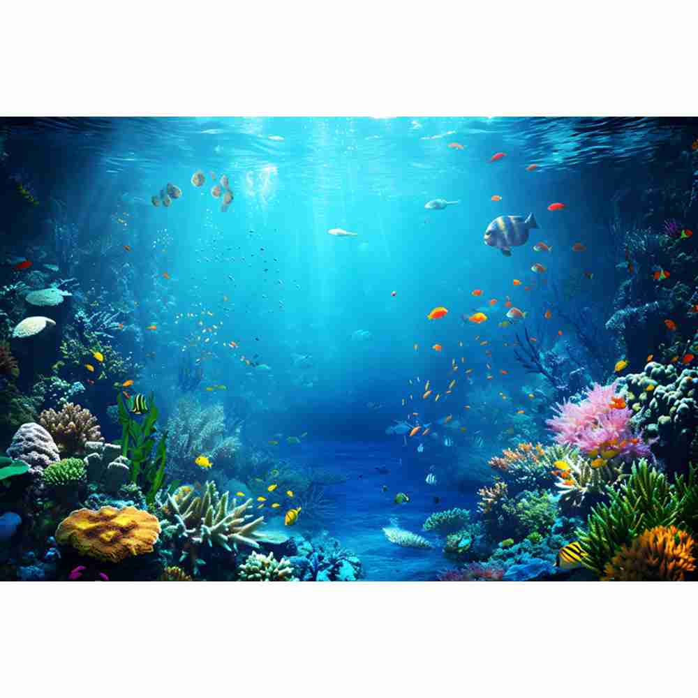 Sualtı Okyanus Dünyası Fotoğra - Aquarium Fish Dolphin incelemesi ve fiyatı