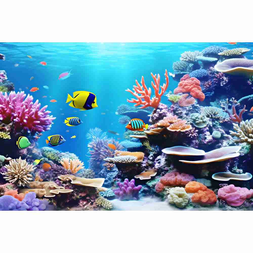 Sualtı Okyanus Dünyası Fotoğra - Aquarium Fish Dolphin incelemesi ve fiyatı