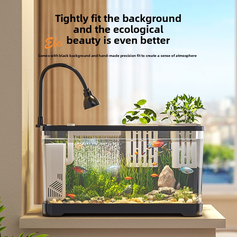 2026 Hepsi Bir Arada Akvaryum  - All Fish In Aquarium incelemesi ve fiyatı