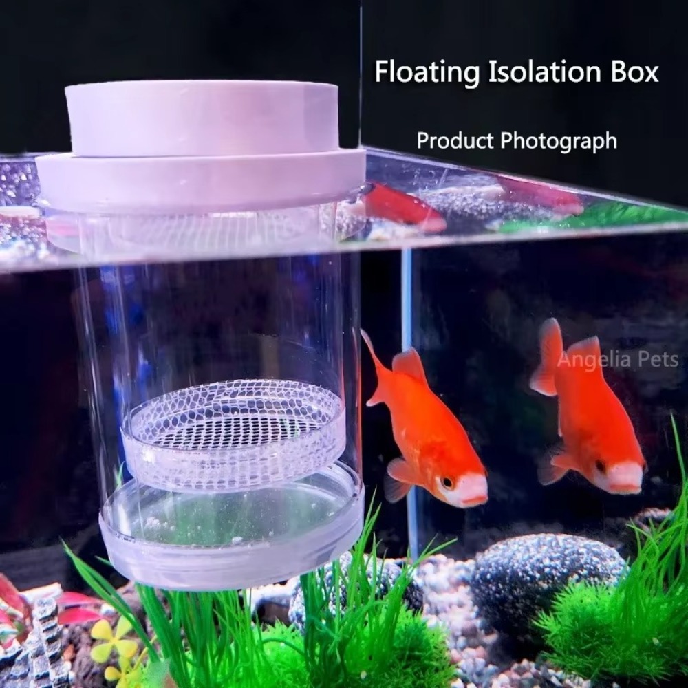 Plastik Yüzen Balık Yetiştiric - Aquarium Fish Jar incelemesi ve fiyatı