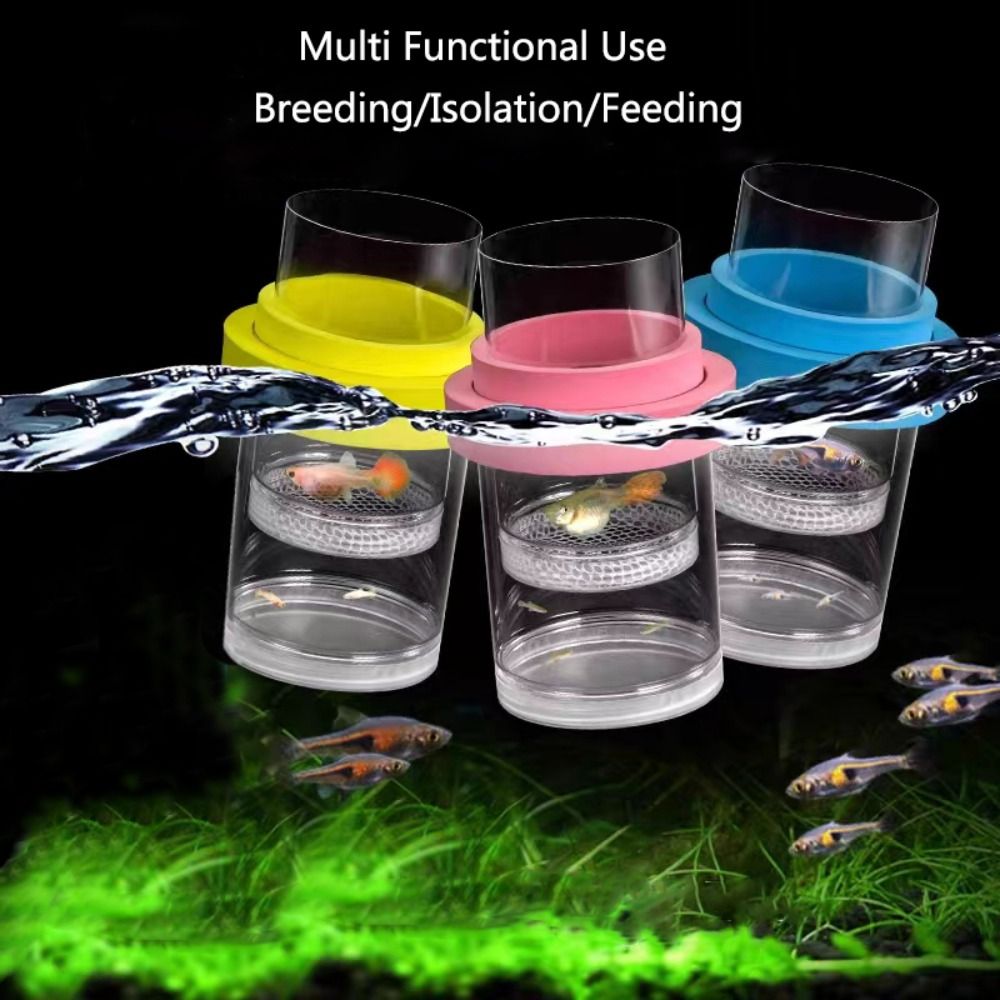 Plastik Yüzen Balık Yetiştiric - Aquarium Fish Jar incelemesi ve fiyatı