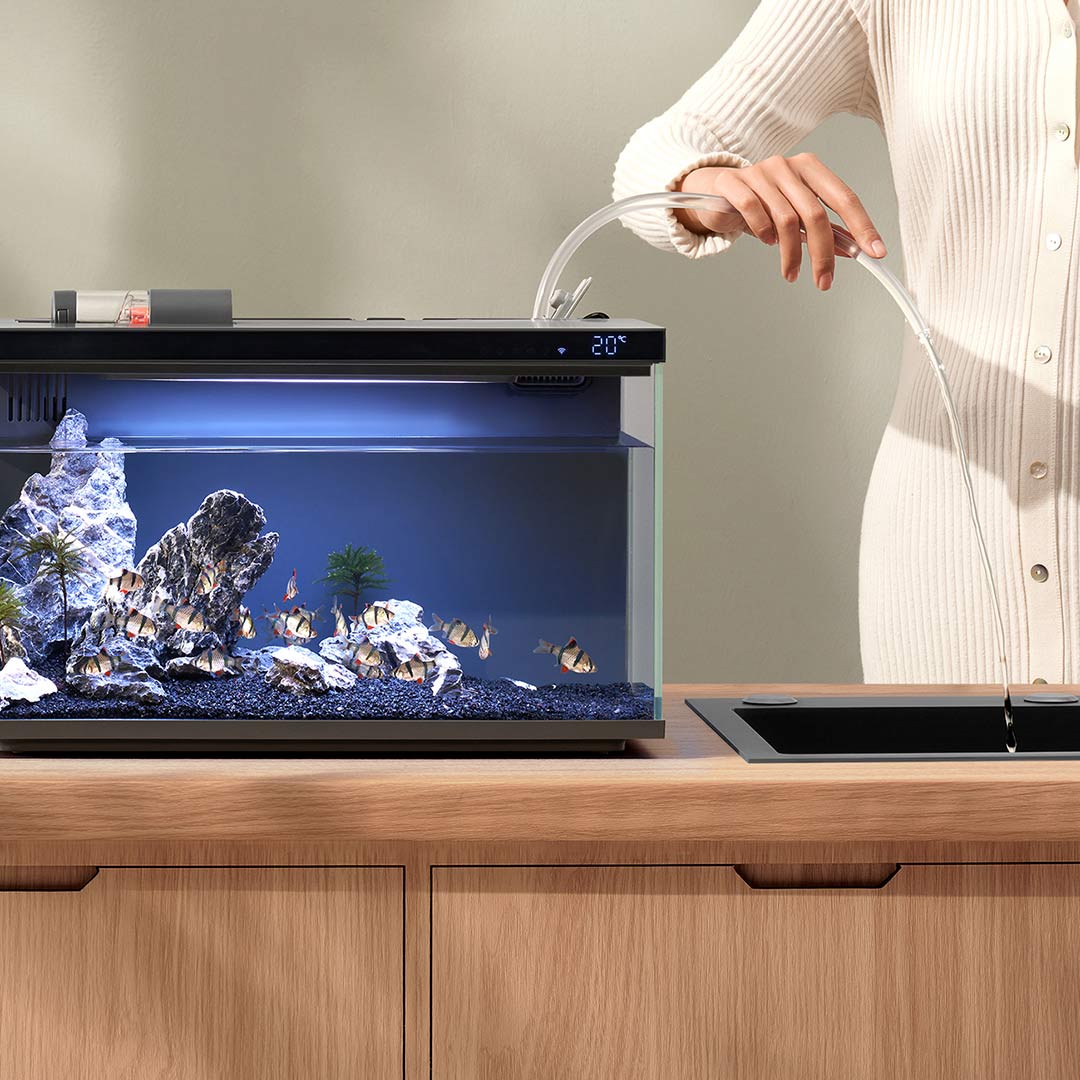 Xiaomi Mijia Akıllı Balık Tank - Aquarium Fish Items incelemesi ve fiyatı