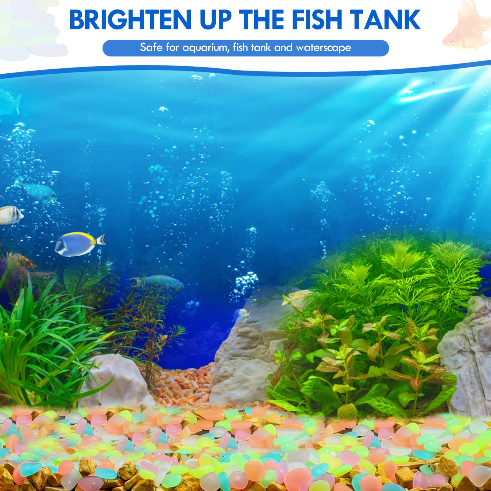 100 Adet Karanlıkta Glow Bahçe - Aquarium Fish House incelemesi ve fiyatı