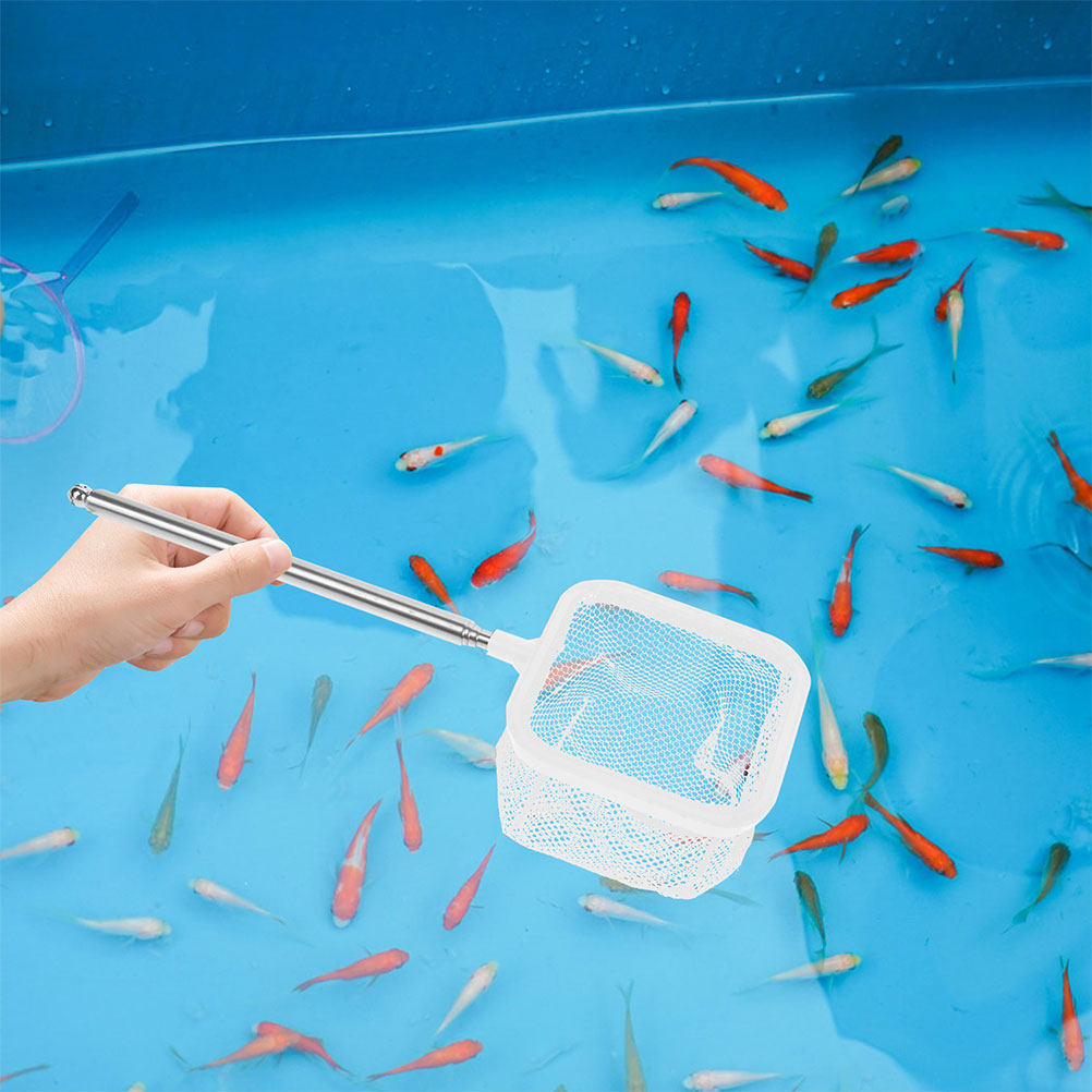 2 Adet Paslanmaz Çelik Uzatıla - Aquarium Fish Net Small incelemesi ve fiyatı